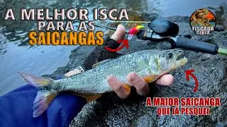 COM A ISCA CERTA O RESULTADO É O SUCESSO | PESCARIA DE SAICANGA