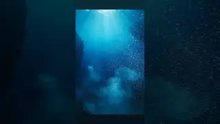 Dive into the Deep Blue: Underwater Wonders!
