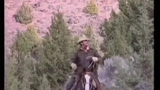All For My Damn Cowboy Pride