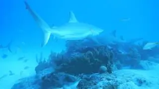 DSCN0945