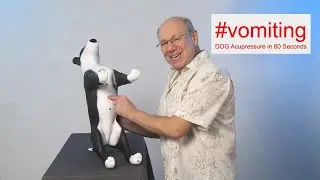 #vomiting - DOG Acupressure in 60 Seconds