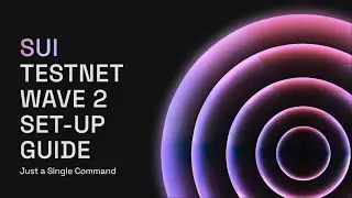 Sui Testnet Wave 2 Node Setup Guide 