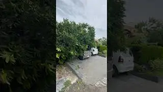 Storm Damage Today ⛈️ Tree Fell on Cars! | #IslamabadStorm #Shorts