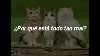 (Meowl) Yael Na&iuml;m - New Soul (Subtitulada Al Espa&ntilde;ol)