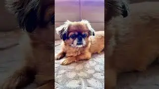 Minny's cute moments