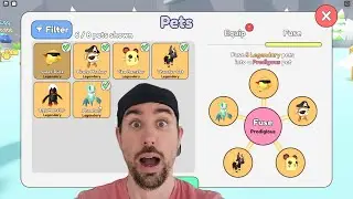 I Fused INSANE OP Pets In Collect All Pets (Roblox)