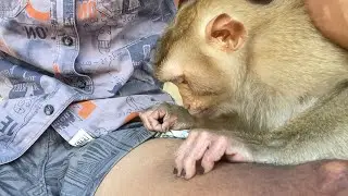 Adorable Zueii Really Love To Grooming Massage My Thigh