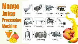 How to Get Mango Juice in the Factory? Mango Juice Processing Machine