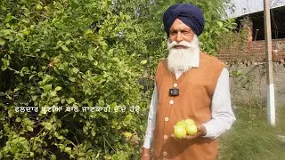 ਫਲਦਾਰ ਬੂਟੇ  Wakh Wakh Rang By Gursharn Singh Kasel . S. Gulab Singh Bhullar (Toun Patti)