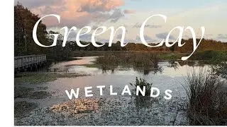 Best easy loop trail hike : Green  Cay Wetlands Hiking