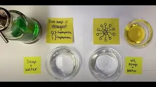 Membrane Fusion Demonstration