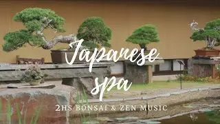 THE BONSAI GARDEN MUSIC | Japanese spa & Zen mix