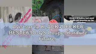 Avis sur la BLACK+DECKER BESTE630-QS Coupe-Bordure Filaire, 550 W, Noir, 30 cm