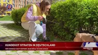 HUNDEKOT STRAFEN IN DEUTSCHLAND