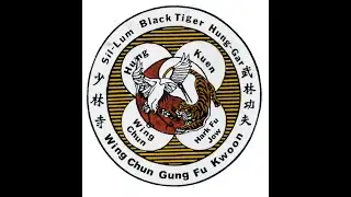 Sifu Lopez  Sil Lum Black Tiger Hung Gar Joint Locks