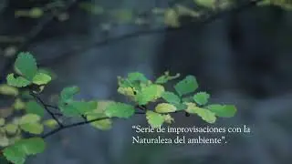 Camino al Frey - Canci&oacute;n para invitarlaluna y jugar con Sol