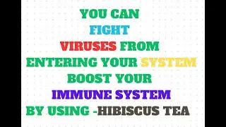BOOST YOUR IMMUNE SYSTEM (HIBISCUS TEA)