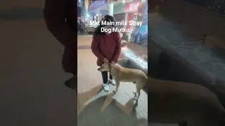 Adopt Don't Shop. #shorts #viral #video #youtubeshorts #dog #shortsfeed #viralshorts #trending #help