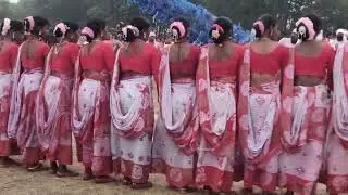 CHIRUGORA PATA ANECH DAL WEST BENGAL BALARAMPUR PURULIA / SDM STUDIO BALARAMPUR / URMA DASAI PATA 🤔🤪