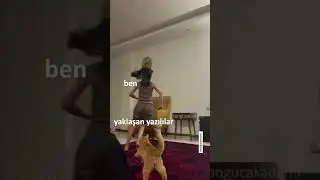 Yazılılar yaklaşırken ben 😼🙀