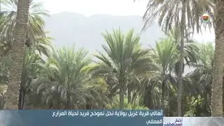 أهالي قرية 