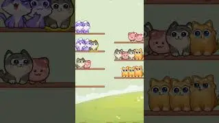 Cat sort puzzle 😺 🐱 😸  💕 #sortgamplay #catlover #cat #fungame
