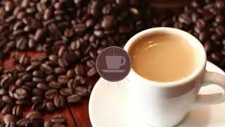 Data Visualization and Infographic project - After Effects
