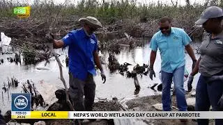 News Bite: NEPA's World Wetlands Day Cleanup at Parrotee