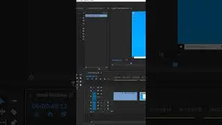Premiere Pro Timeline Tips You NEED To Know