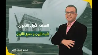 تأنيث المهن