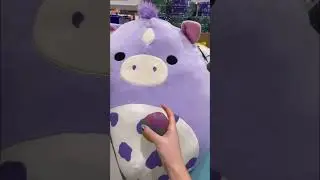 I Found the BIGGEST SQUISHMALLOW on EARTH! 😱 Buying What the Fidget Ball Says! 🛍️