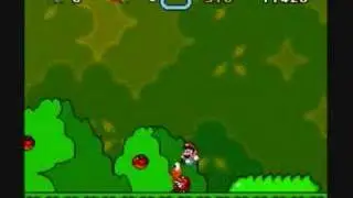 Koopa Troopas