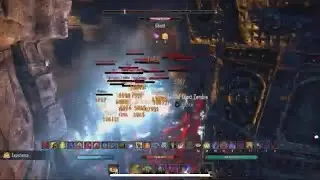 ESO Experience Farmer FAST LEVELING!