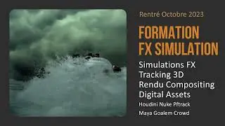 Formation FX simulation Cin&eacute;ma  - FX Jeux video - Enseignement en ligne personnalis&eacute; ou en session