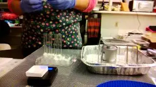 Video3 synthesis of fragrant esters portillo md