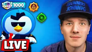 ICH PUSHE MIT EUCH Mr. P AUF 500 POKALE IN BRAWL STARS!🔥