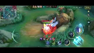 Cariado por un tigre al daño XD