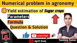 Yield estimation of sugar crops || How to estimate yield of sugarcane || Yield estimation of crops