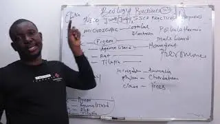 NECO Biology practical 2023 | Specimen K, L, M AND N | CONTINUATION....