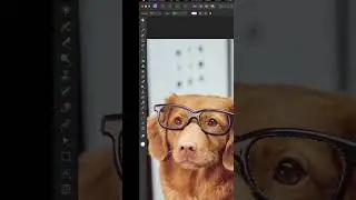 Turn normal Glas into Sunglas | Affinity Photo Tutorial