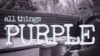 &lsquo;Purple&rsquo; - Photo of The Week (Week 18) - A Silent Vlog