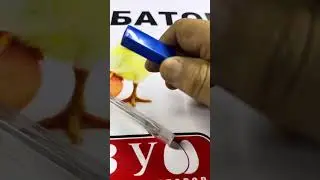 Инкубаторни текшириш 