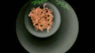 Laura Obermeyer: Mitosis