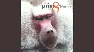 Stop The Killing