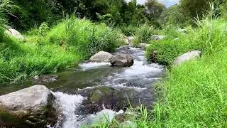 Tranquil River Flow &ndash; 10 Hours of Water ASMR  - Stress, Anxiety Relief & Meditation Sounds