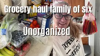 Realistic Grocery haul for family of six / meal ideas on a budget / 212 total