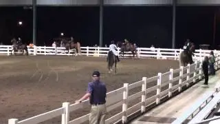 Southeastern Charity Horse Show