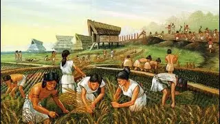 🌾 ANCIENT FARM | BÖLÜM 2 – EVİMİZİ YAPTIK! GELİŞMİŞ MUTFAK KURULDU & İLK MAHSULÜ ALDIK 🧺🌽