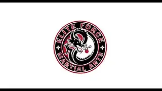 Elite Force Martial Arts - Lighthouse Point FL