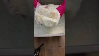 Pre Rinse